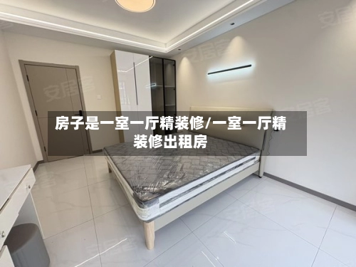 房子是一室一厅精装修/一室一厅精装修出租房-第1张图片