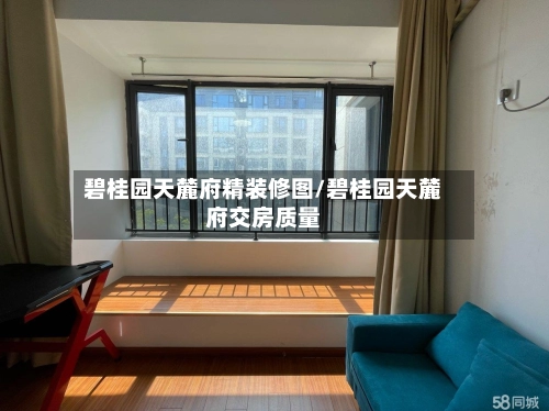 碧桂园天麓府精装修图/碧桂园天麓府交房质量-第1张图片