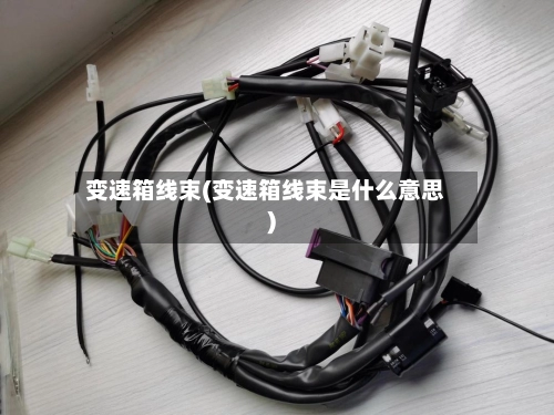变速箱线束(变速箱线束是什么意思)-第1张图片