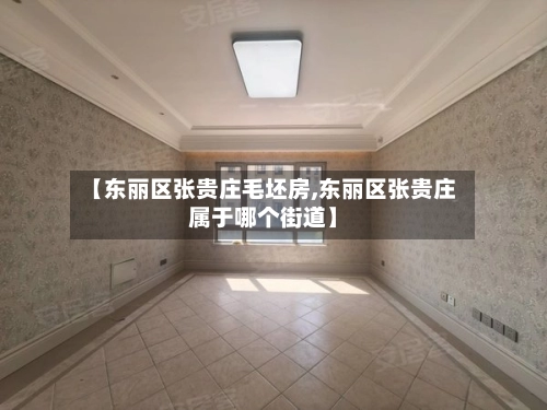 【东丽区张贵庄毛坯房,东丽区张贵庄属于哪个街道】-第1张图片
