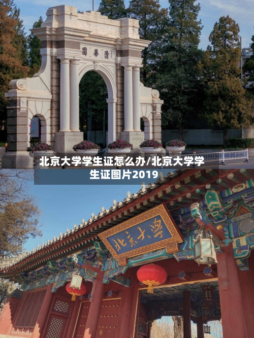 北京大学学生证怎么办/北京大学学生证图片2019-第1张图片