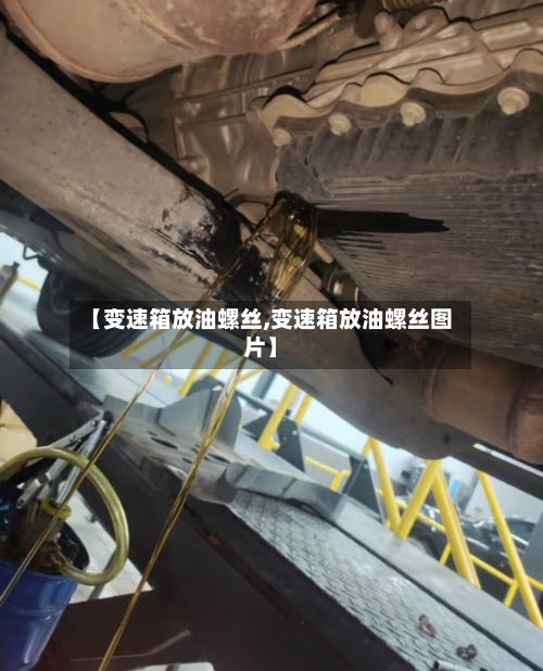 【变速箱放油螺丝,变速箱放油螺丝图片】-第1张图片
