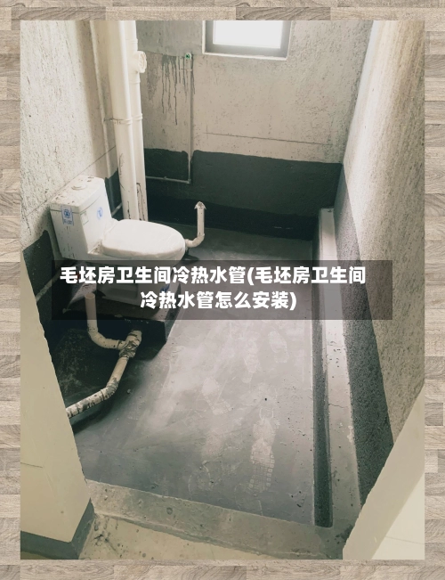 毛坯房卫生间冷热水管(毛坯房卫生间冷热水管怎么安装)-第1张图片