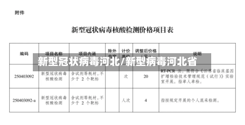 新型冠状病毒河北/新型病毒河北省