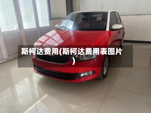 斯柯达费用(斯柯达费用表图片)-第1张图片