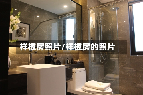 样板房照片/样板房的照片-第1张图片