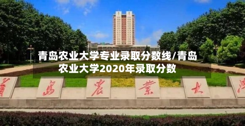 青岛农业大学专业录取分数线/青岛农业大学2020年录取分数-第1张图片