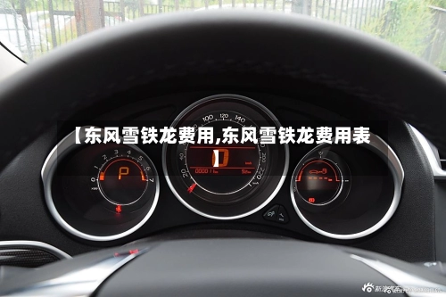 【东风雪铁龙费用,东风雪铁龙费用表】-第1张图片