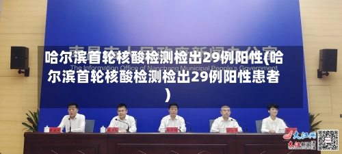 哈尔滨首轮核酸检测检出29例阳性(哈尔滨首轮核酸检测检出29例阳性患者)-第1张图片