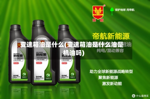 变速箱油是什么(变速箱油是什么油是机油吗)-第1张图片