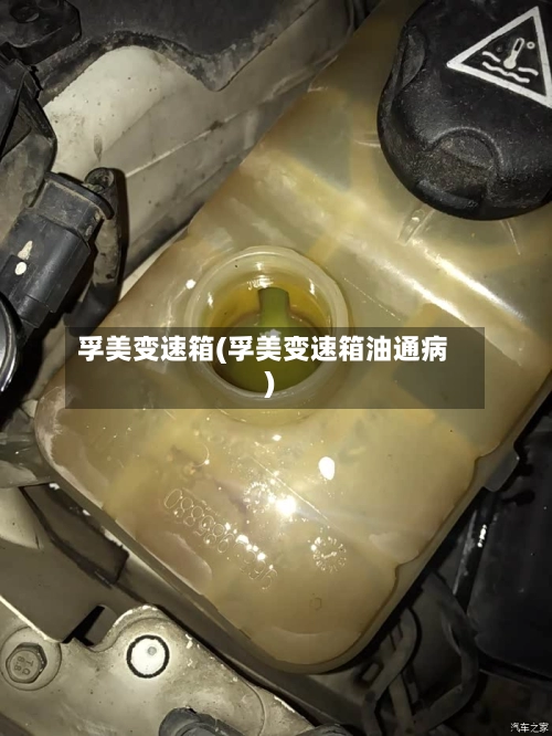 孚美变速箱(孚美变速箱油通病)-第2张图片