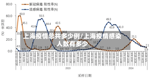 上海疫情总共多少例/上海疫情感染人数有多少-第1张图片