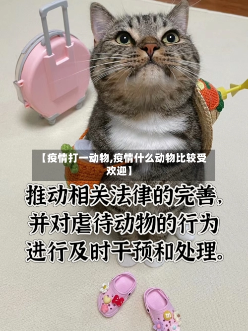 【疫情打一动物,疫情什么动物比较受欢迎】-第1张图片