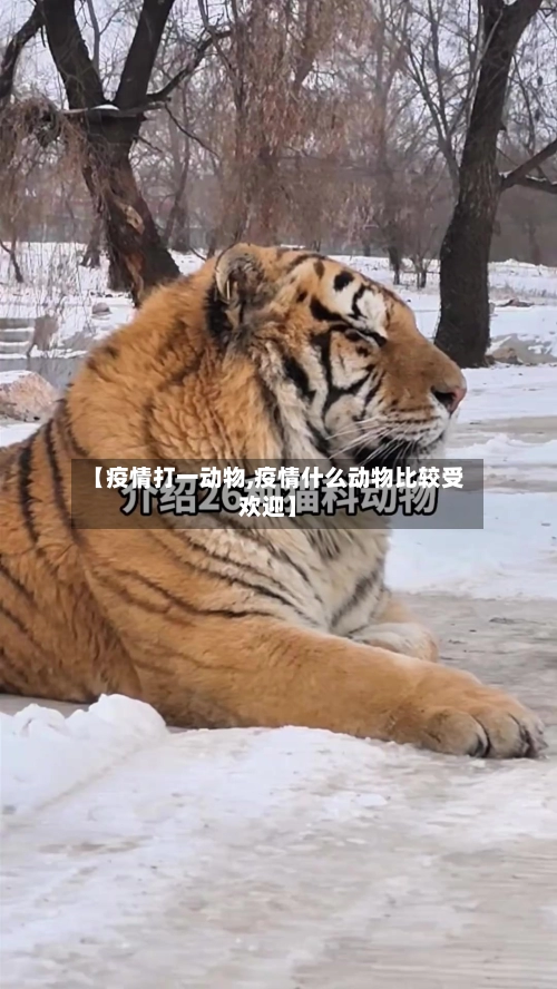 【疫情打一动物,疫情什么动物比较受欢迎】-第3张图片