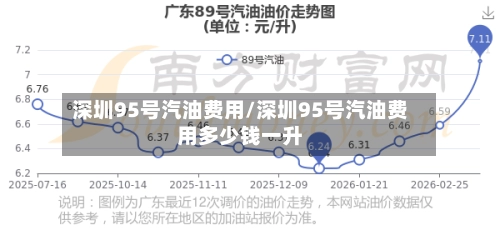 深圳95号汽油费用/深圳95号汽油费用多少钱一升-第1张图片