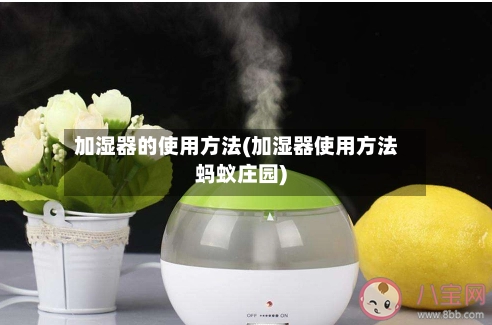 加湿器的使用方法(加湿器使用方法蚂蚁庄园)-第1张图片