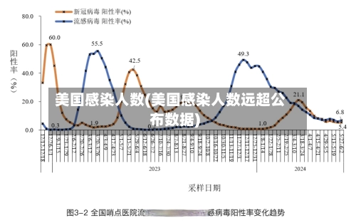 美国感染人数(美国感染人数远超公布数据)-第1张图片