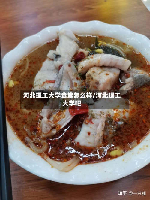 河北理工大学食堂怎么样/河北理工大学吧-第1张图片