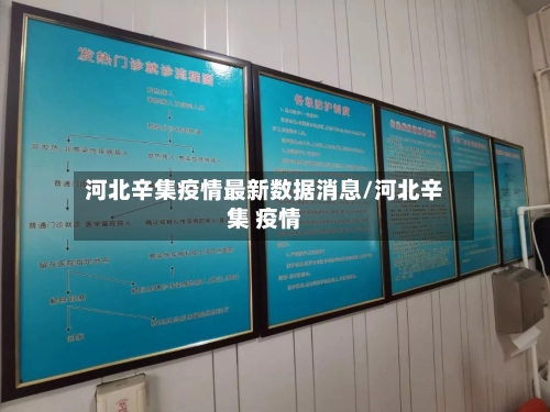 河北辛集疫情最新数据消息/河北辛集 疫情-第1张图片