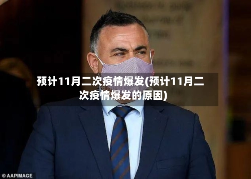 预计11月二次疫情爆发(预计11月二次疫情爆发的原因)-第1张图片