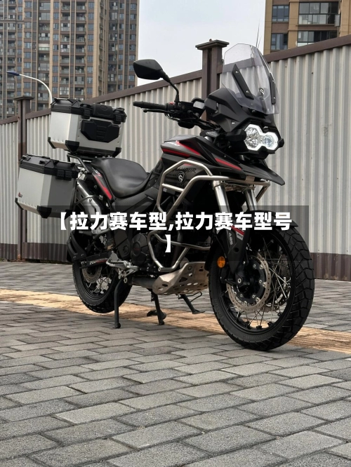 【拉力赛车型,拉力赛车型号】-第2张图片