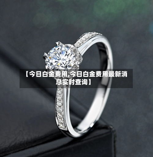 【今日白金费用,今日白金费用最新消息实时查询】-第1张图片