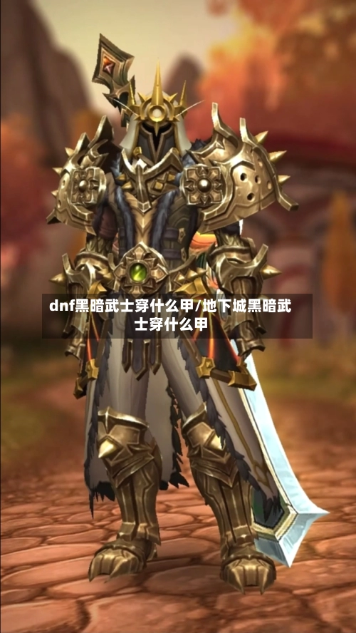 dnf黑暗武士穿什么甲/地下城黑暗武士穿什么甲-第1张图片