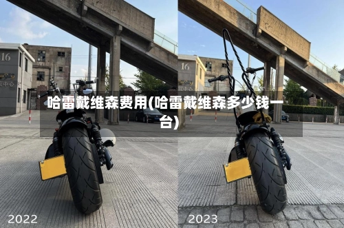 哈雷戴维森费用(哈雷戴维森多少钱一台)-第2张图片