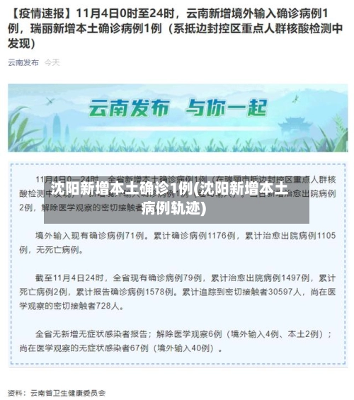 沈阳新增本土确诊1例(沈阳新增本土病例轨迹)-第1张图片