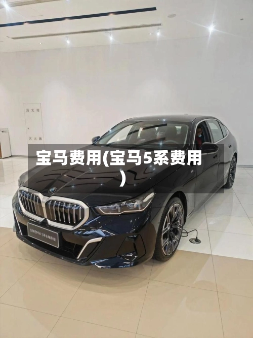 宝马费用(宝马5系费用)-第1张图片