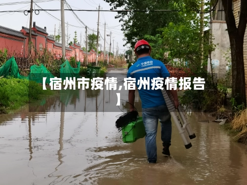 【宿州市疫情,宿州疫情报告】-第1张图片