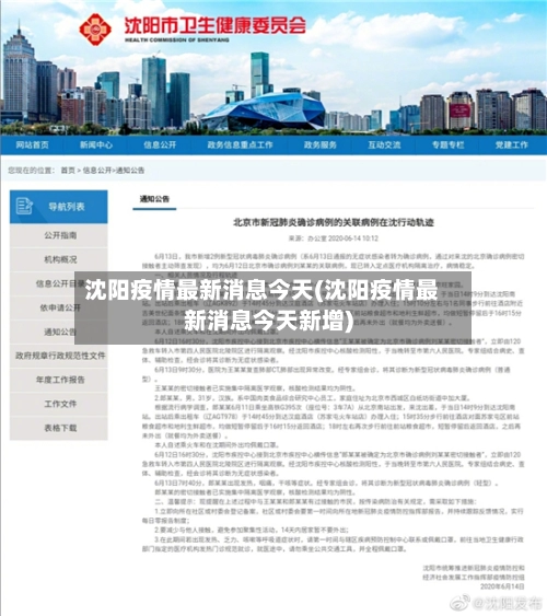 沈阳疫情最新消息今天(沈阳疫情最新消息今天新增)-第2张图片
