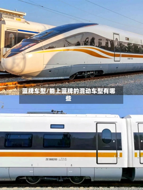 蓝牌车型/能上蓝牌的混动车型有哪些-第2张图片