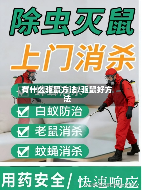 有什么驱鼠方法/驱鼠好方法-第1张图片