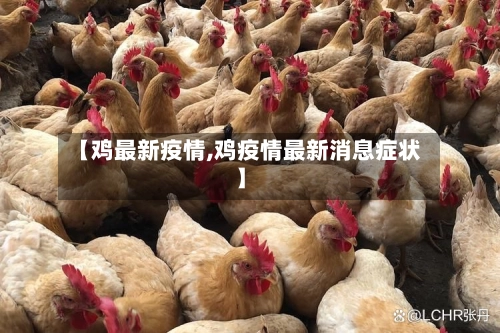【鸡最新疫情,鸡疫情最新消息症状】-第1张图片