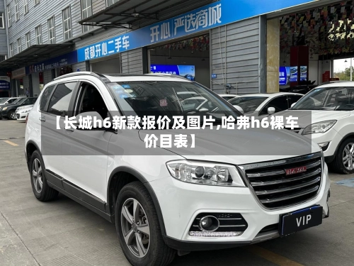 【长城h6新款报价及图片,哈弗h6裸车价目表】-第3张图片