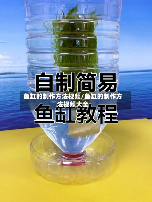 鱼缸的制作方法视频/鱼缸的制作方法视频大全-第1张图片
