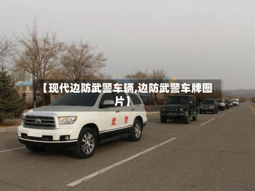 【现代边防武警车辆,边防武警车牌图片】-第2张图片