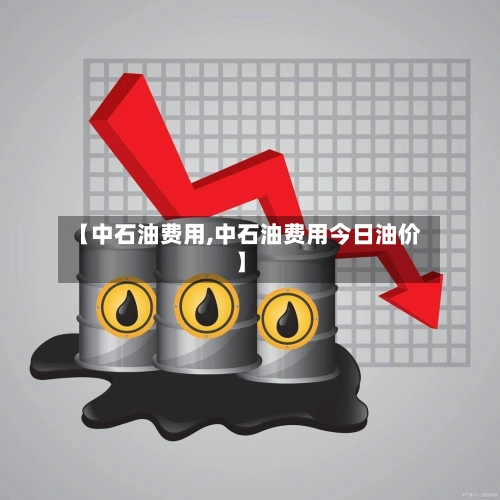 【中石油费用,中石油费用今日油价】-第1张图片