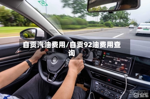 自贡汽油费用/自贡92油费用查询-第2张图片