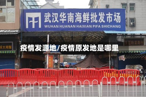 疫情发源地/疫情原发地是哪里-第1张图片
