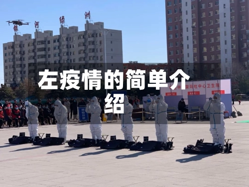 左疫情的简单介绍-第1张图片