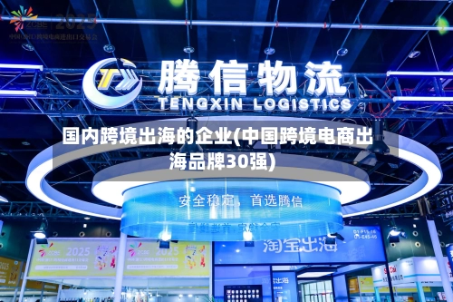 国内跨境出海的企业(中国跨境电商出海品牌30强)-第1张图片