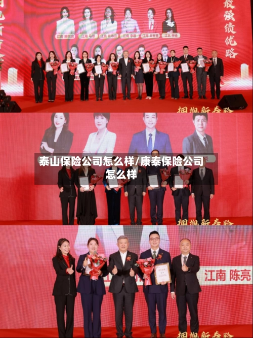 泰山保险公司怎么样/康泰保险公司怎么样-第1张图片