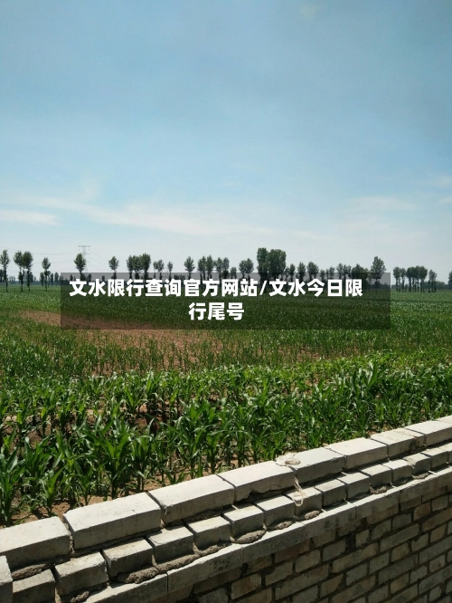 文水限行查询官方网站/文水今日限行尾号-第1张图片