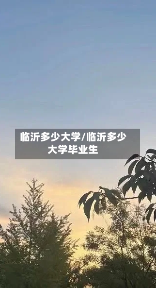 临沂多少大学/临沂多少大学毕业生-第1张图片