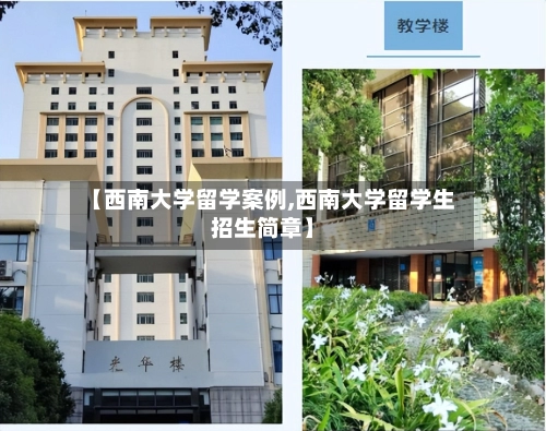 【西南大学留学案例,西南大学留学生招生简章】-第2张图片