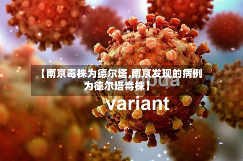 【南京毒株为德尔塔,南京发现的病例为德尔塔毒株】-第1张图片