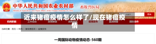 近来猪瘟疫情怎么样了/现在猪瘟疫情-第3张图片