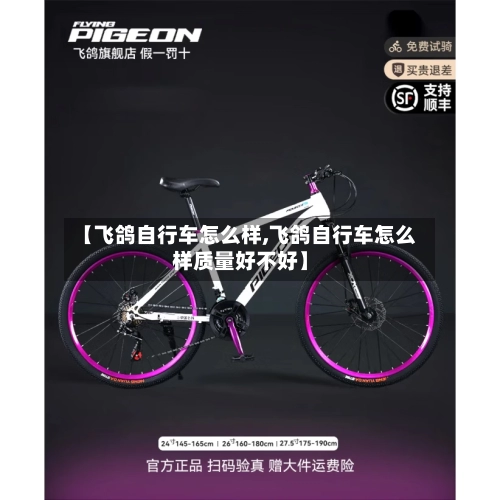 【飞鸽自行车怎么样,飞鸽自行车怎么样质量好不好】-第1张图片